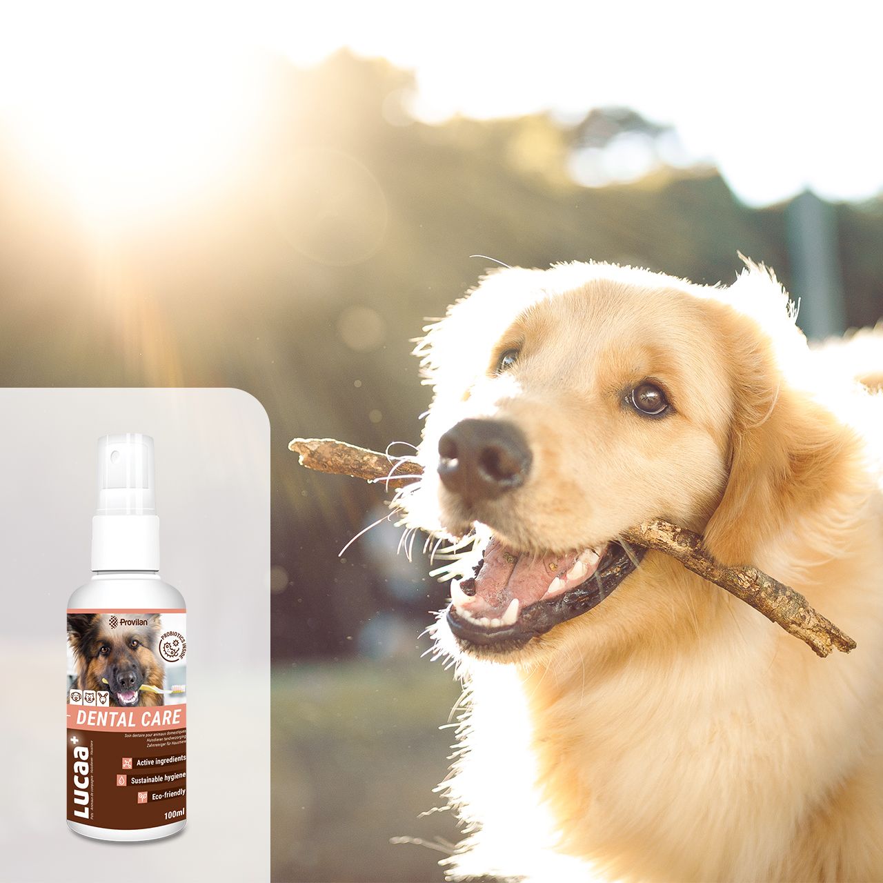 Lucaa+ Organic Tooth Cleaner for Pets 100ml