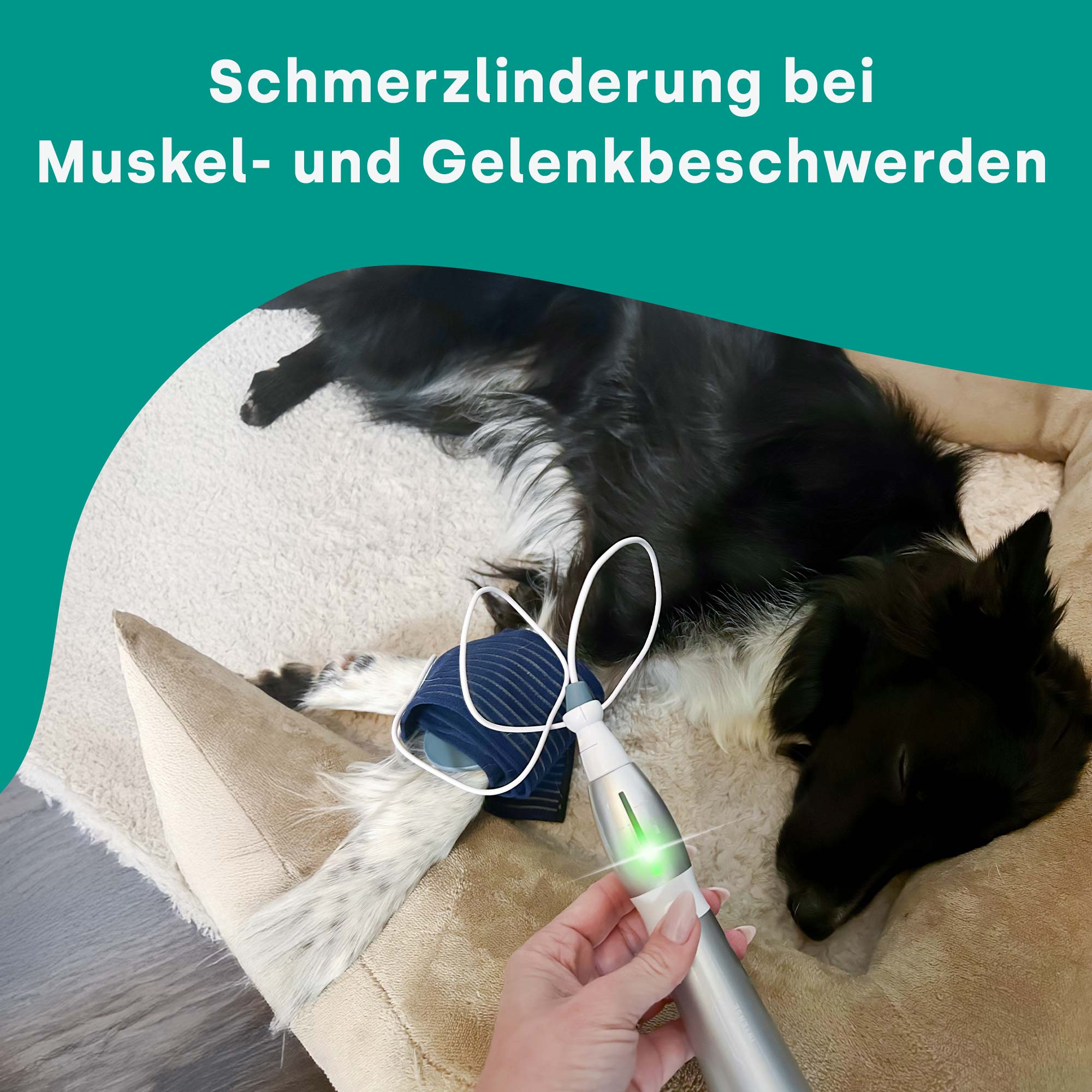 emmi-pet Physio Set PLUS (prise : UE)