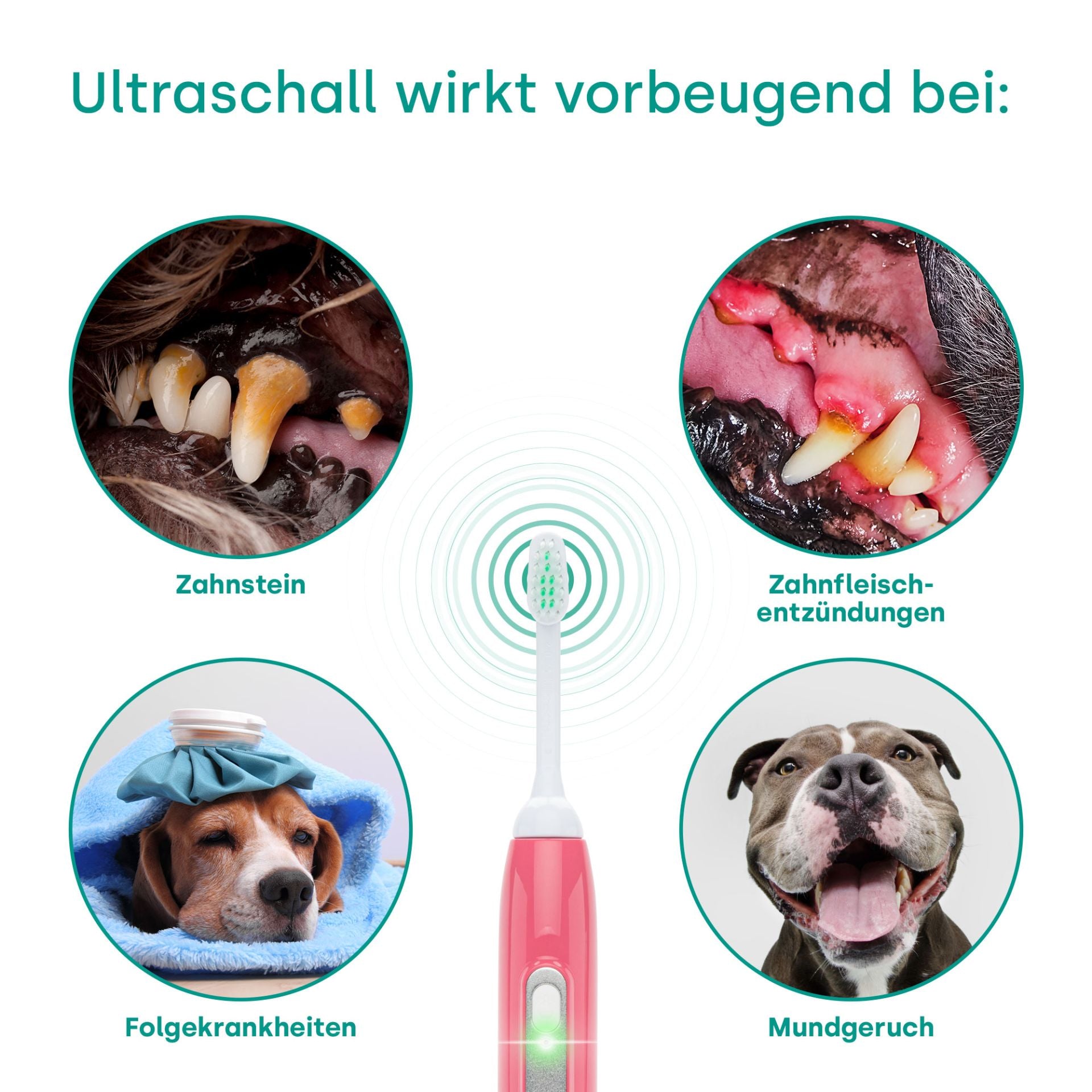 18262 - Emmi-pet Basis Set 2.0 EU Limited Pink