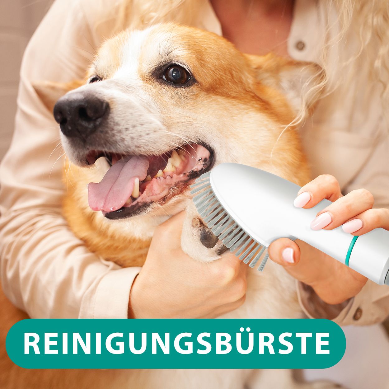 Tondeuse pour chien Neakasa avec aspirateur pour poils d'animaux