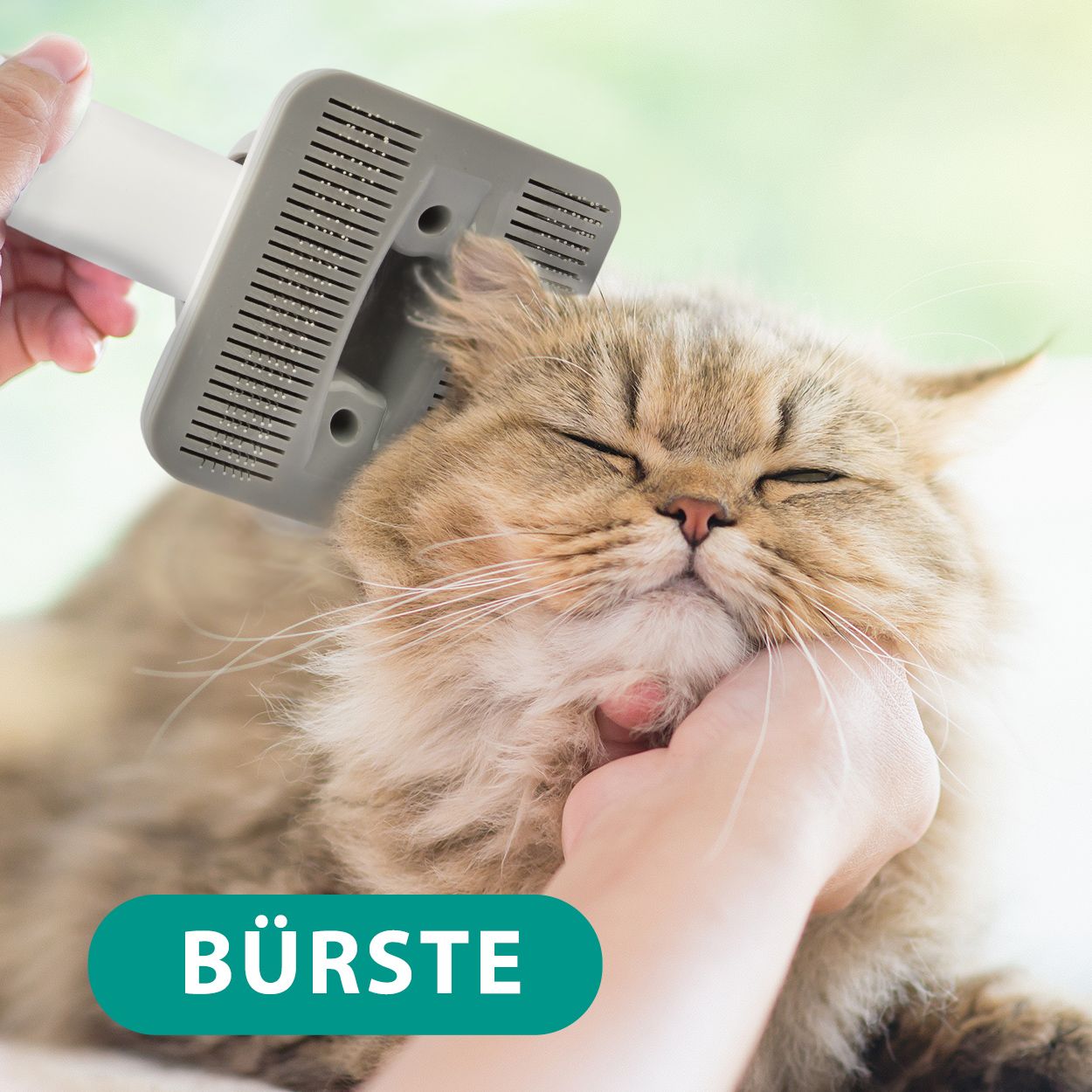 Tondeuse pour chien Neakasa avec aspirateur pour poils d'animaux