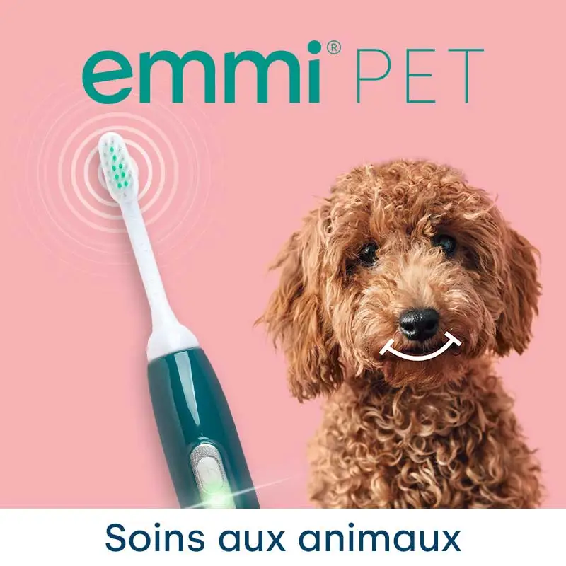 Soins aux animaux